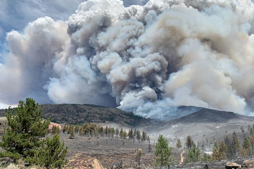 Featured Image for Fire Risk, Fire Behavior, and Post-Fire Forest Resilience