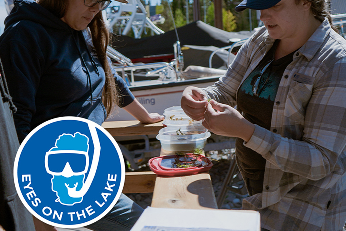 Featured Image for Eyes on the Lake Training