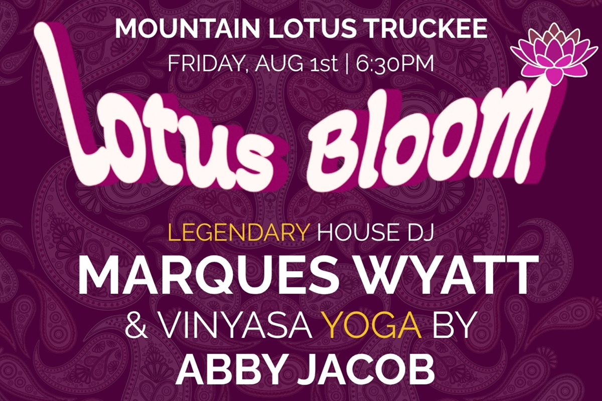 Featured Image for Lotus Bloom
