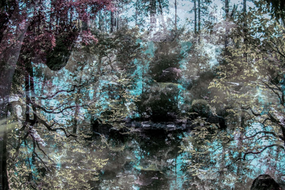 Featured Image for Somatics & Soundscapes