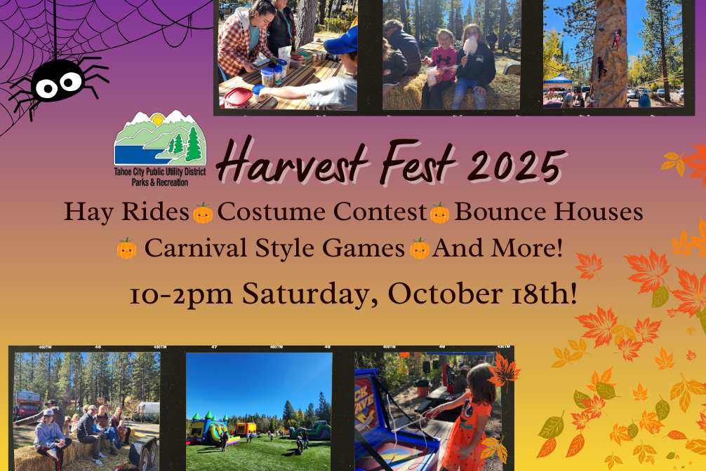 Featured Image for Harvest Fest