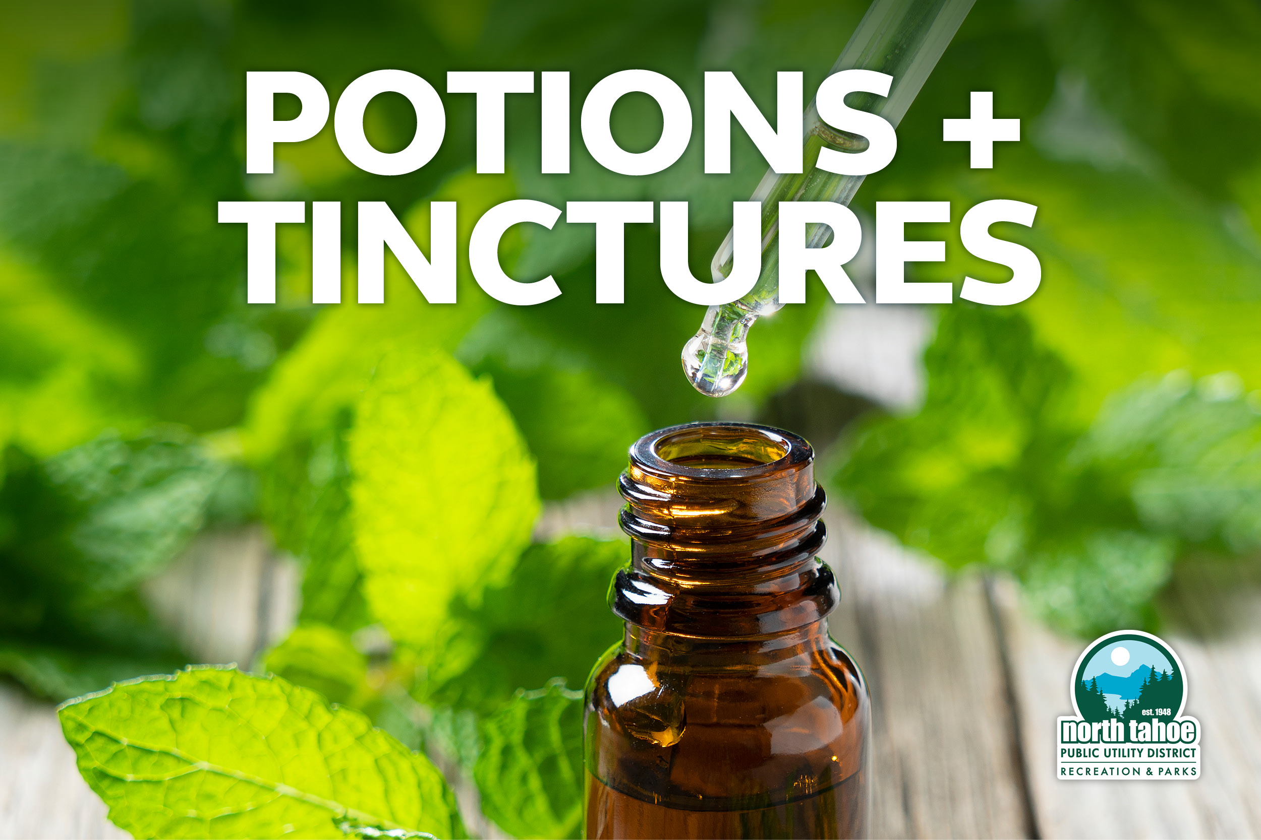 Featured Image for Community Garden Workshops