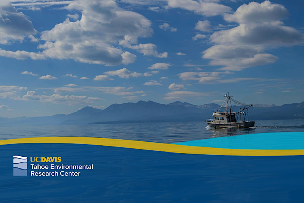 Featured Image for Coping with Climate Distress