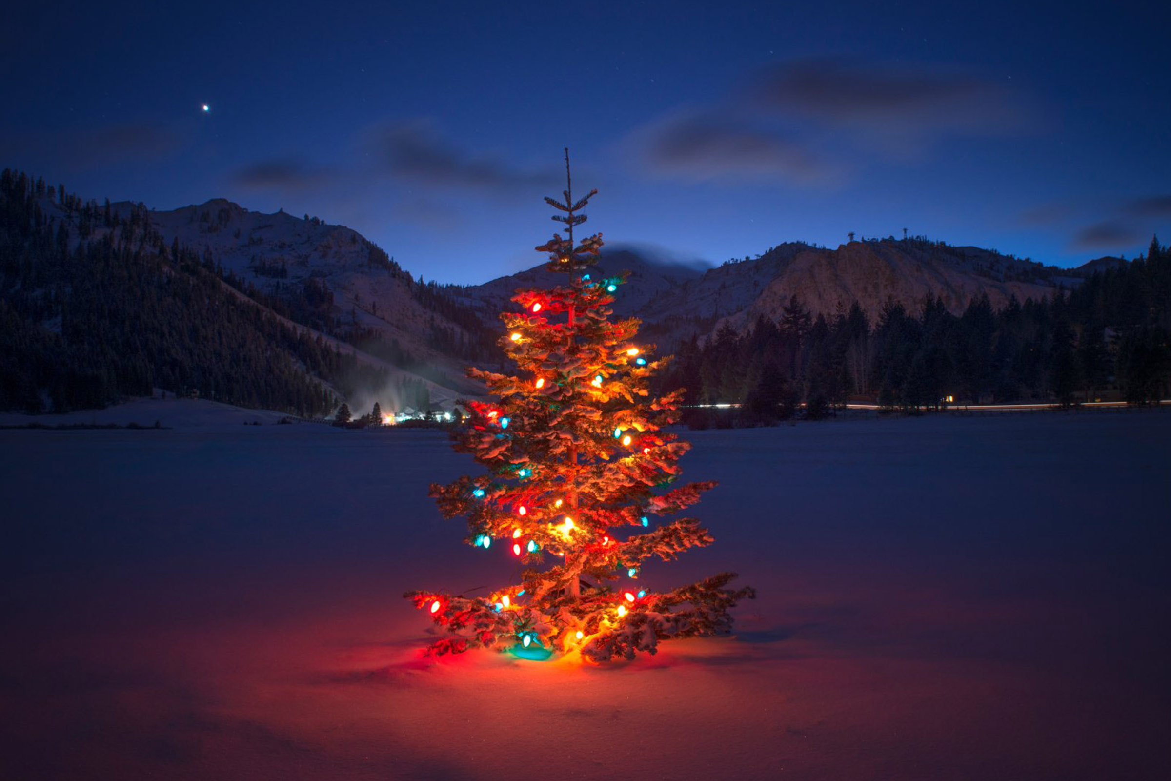 Featured Image for Welcome to Winter + Forged Unveiling