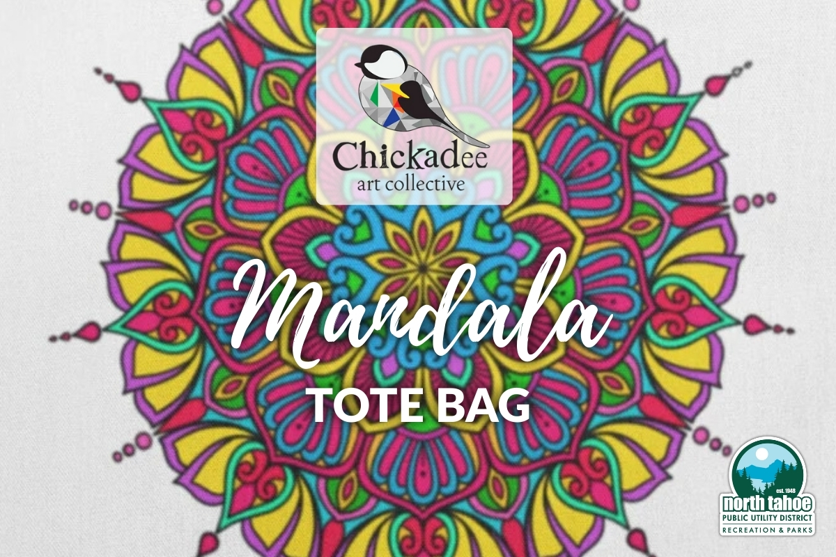 Featured Image for Chickadee Art Workshop