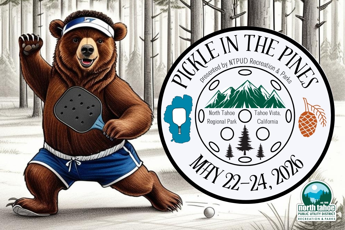 Featured Image for Pickle in the Pines