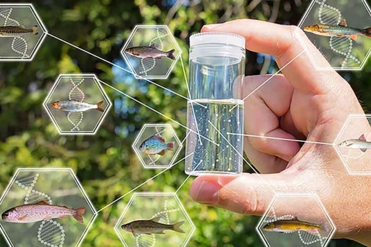 Featured Image for DNA Detectives with Dr. Andrea Schreier