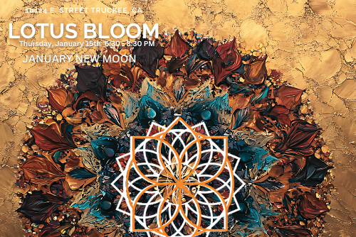 Featured Image for Lotus Bloom with Nicole Sklar & DJ Bela Bass