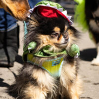 SEmerson_1300_R7_web