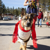 SEmerson_1555_R7_web