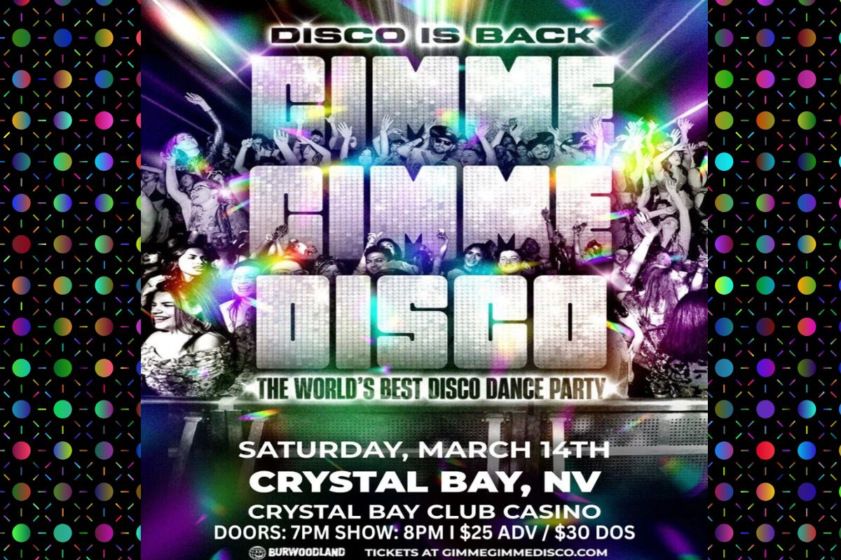 Featured Image for Gimme Gimme Disco