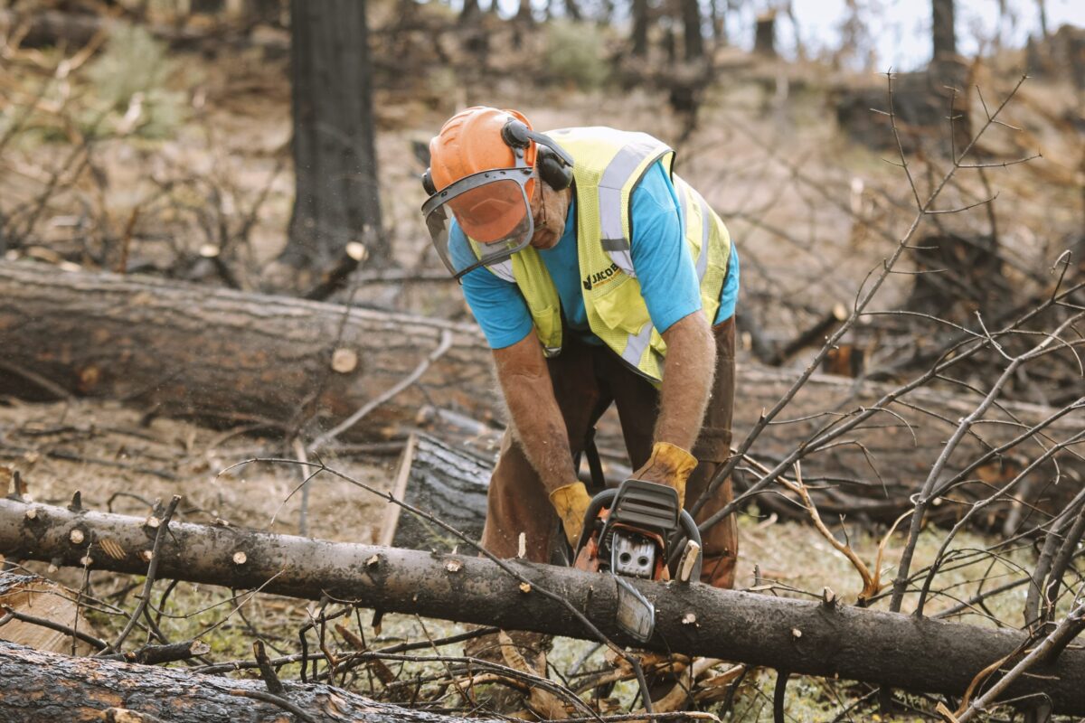 Featured Image for Tahoe City Firewise Community Forum