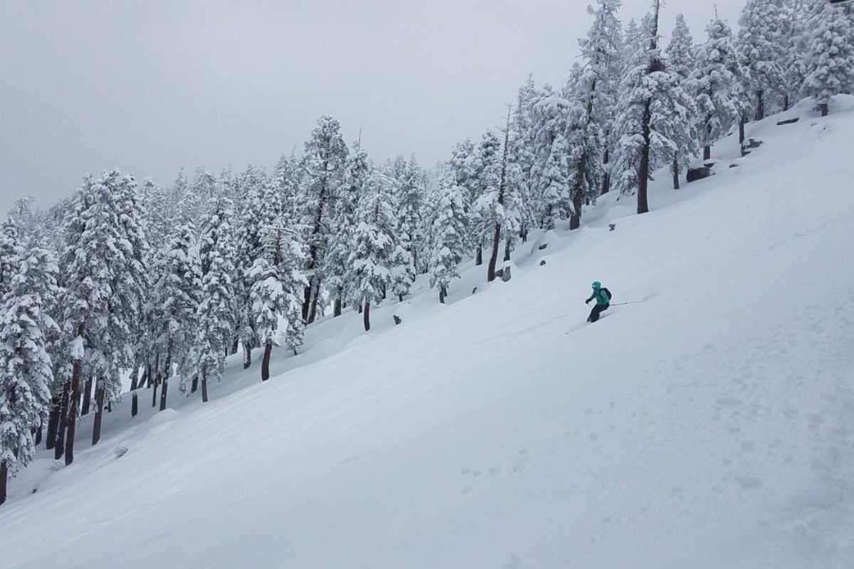 Featured Image for Ski with a Scientist