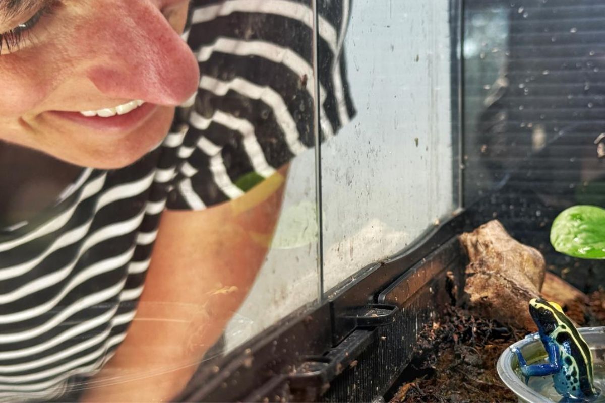 Featured Image for Science Speaks: Who Cares? Lessons on Parenting From Frogs