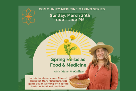 Featured Image for Community Medicine Making Series: Spring Herbs as Food & Medicine