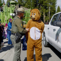 NTCA KB Snowfest 2026 - Generikal Design - Selects.00_16_44_19.Still001