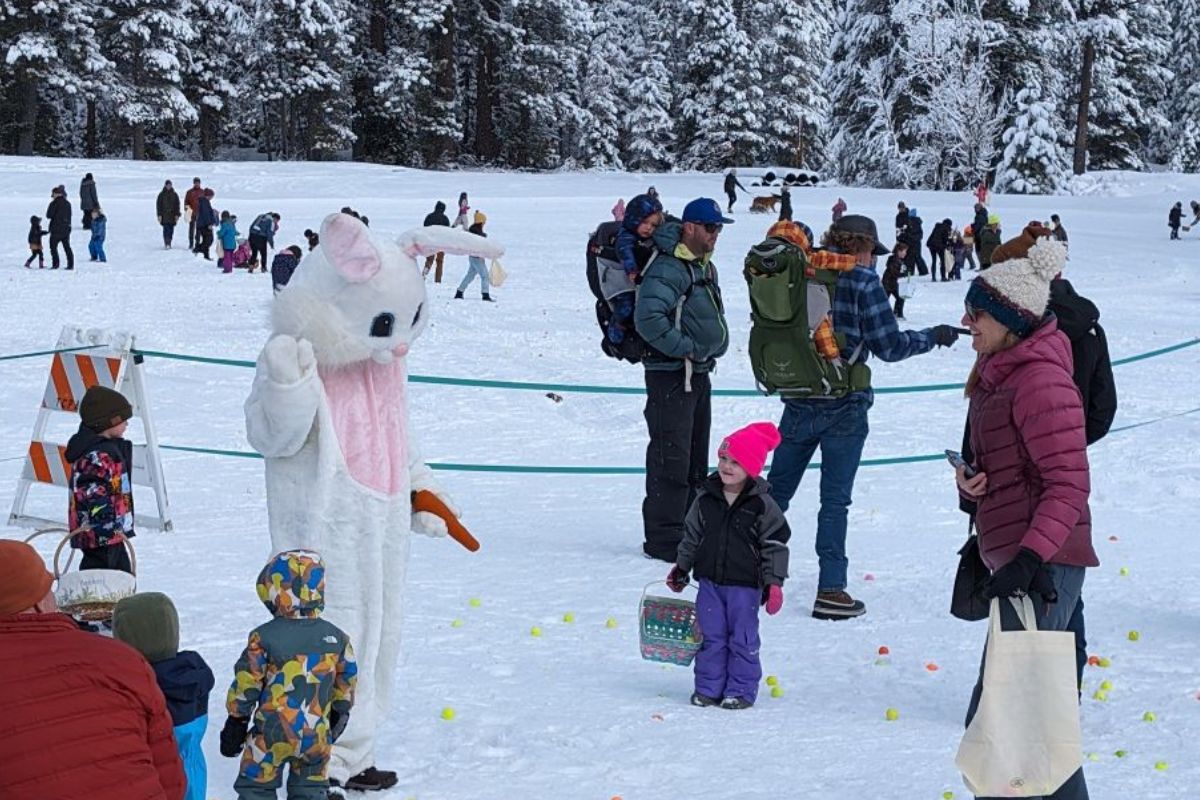 Featured Image for Spring Eggstravaganza 2026