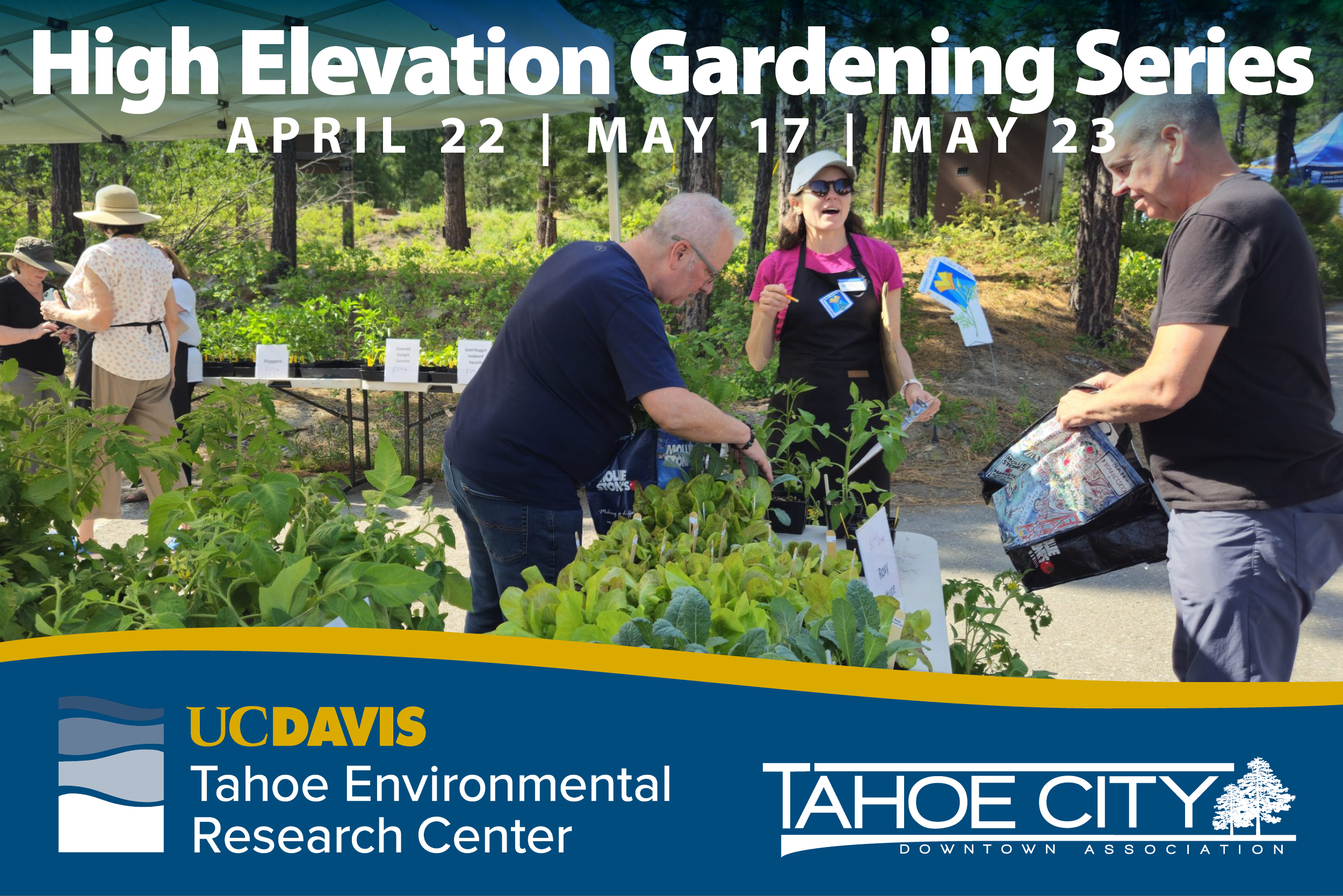 Featured Image for High Elevation Gardening Series