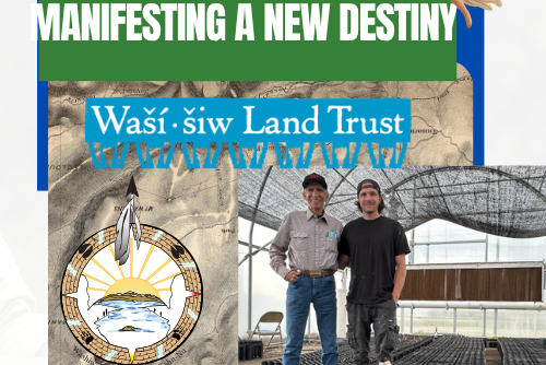 Featured Image for Mountain Lotus Speaker Series: Manifesting a new Destiny