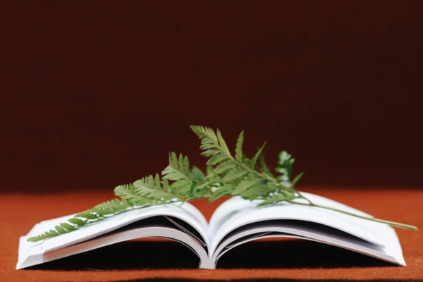 Featured Image for Mindful Readers Book Club