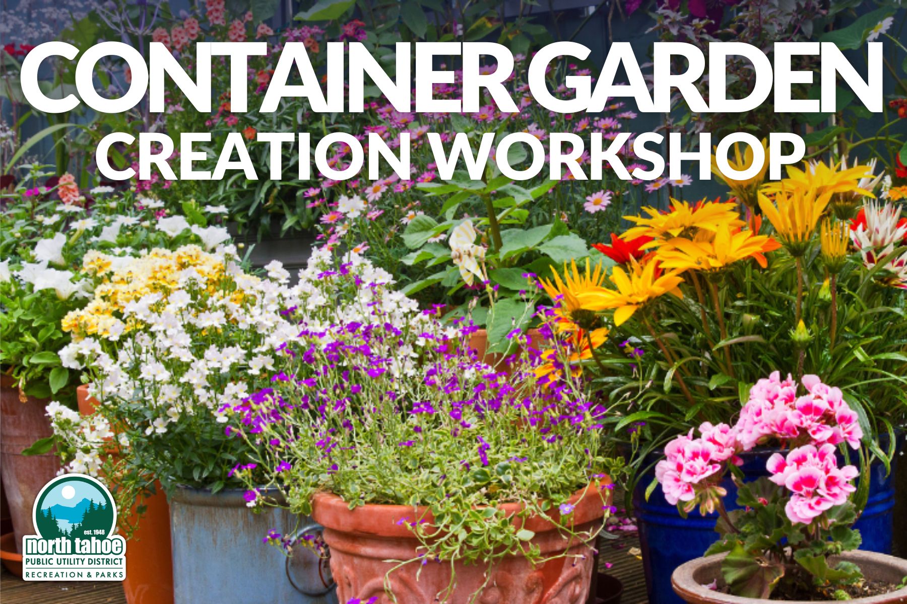 Featured Image for Container Garden Creation Workshop