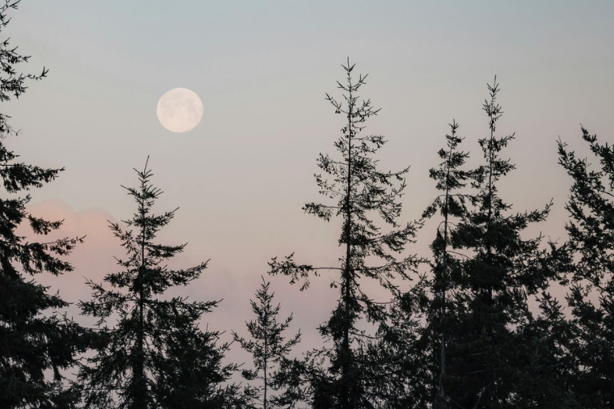 Featured Image for Full Moon Yoga Flow