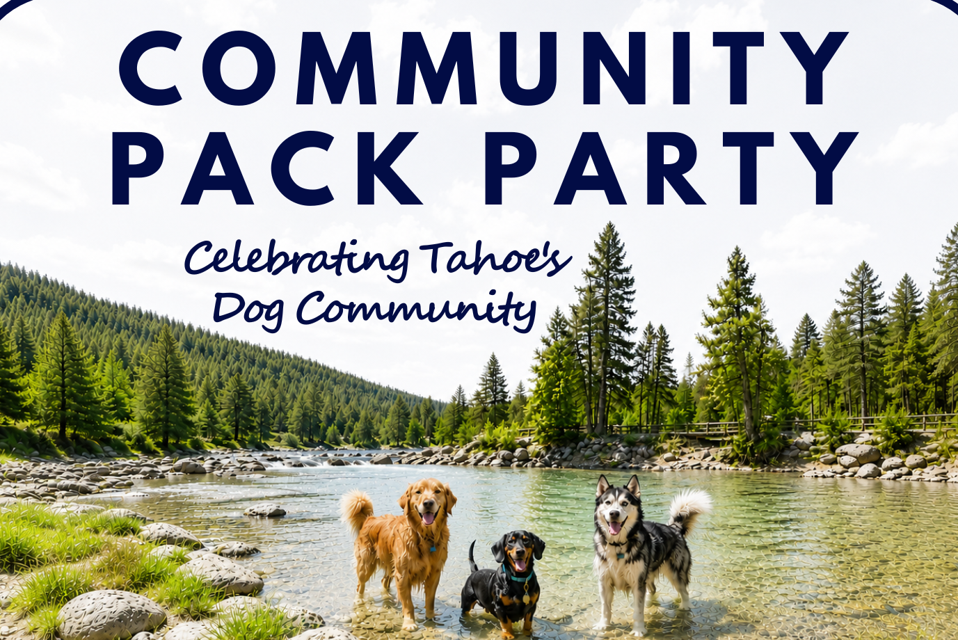 Featured Image for Community Pack Party