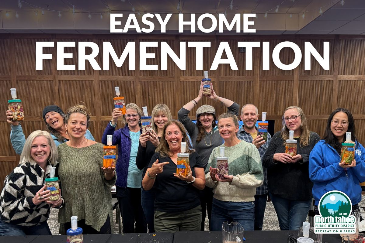 Featured Image for Easy Home Fermentation Workshop