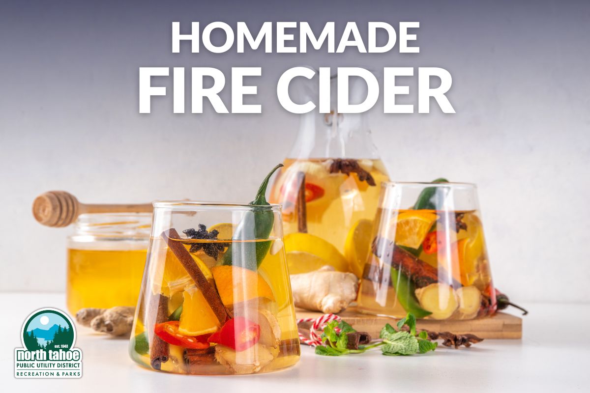 Featured Image for Homemade Fire Cider Workshop