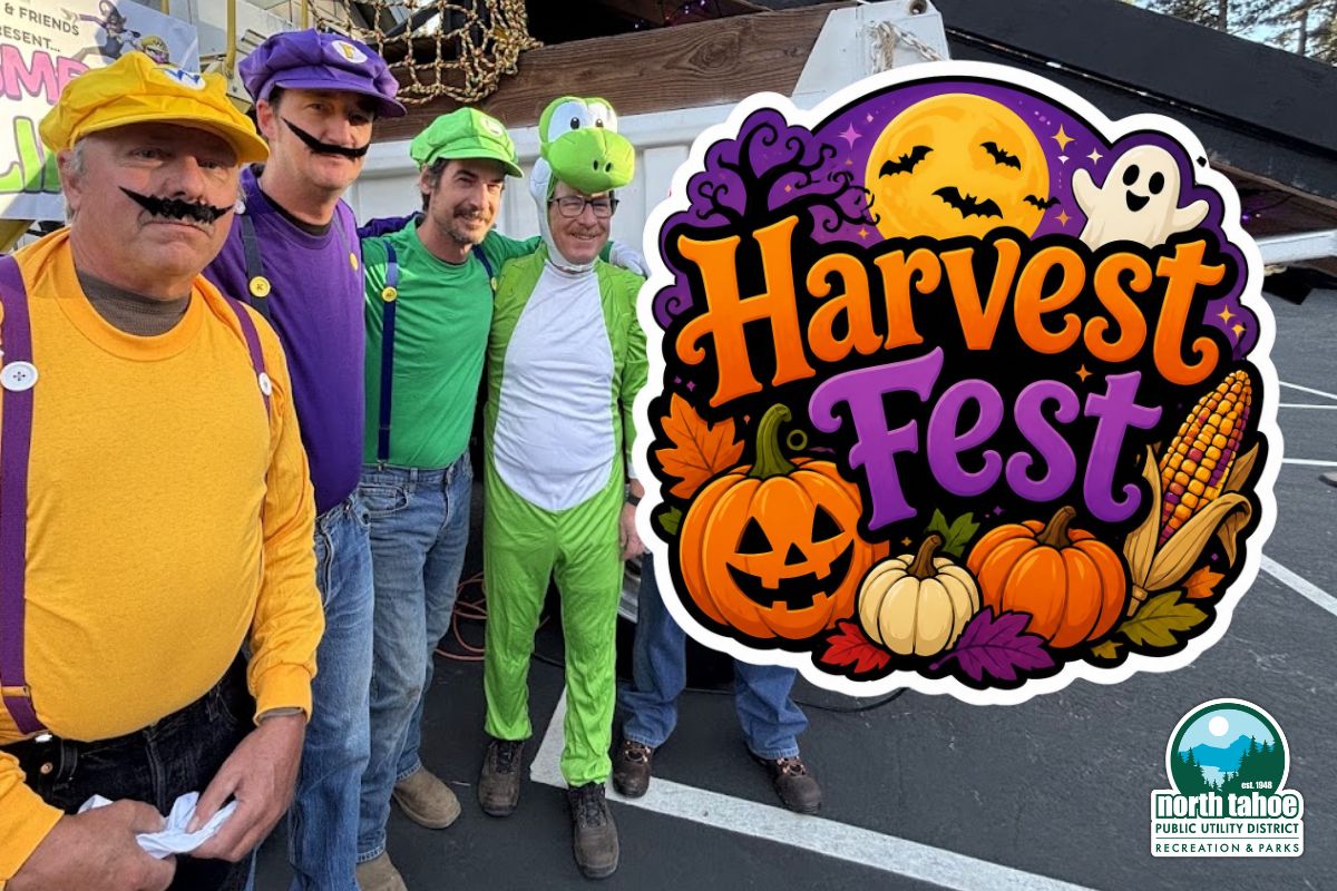 Featured Image for Harvest Fest