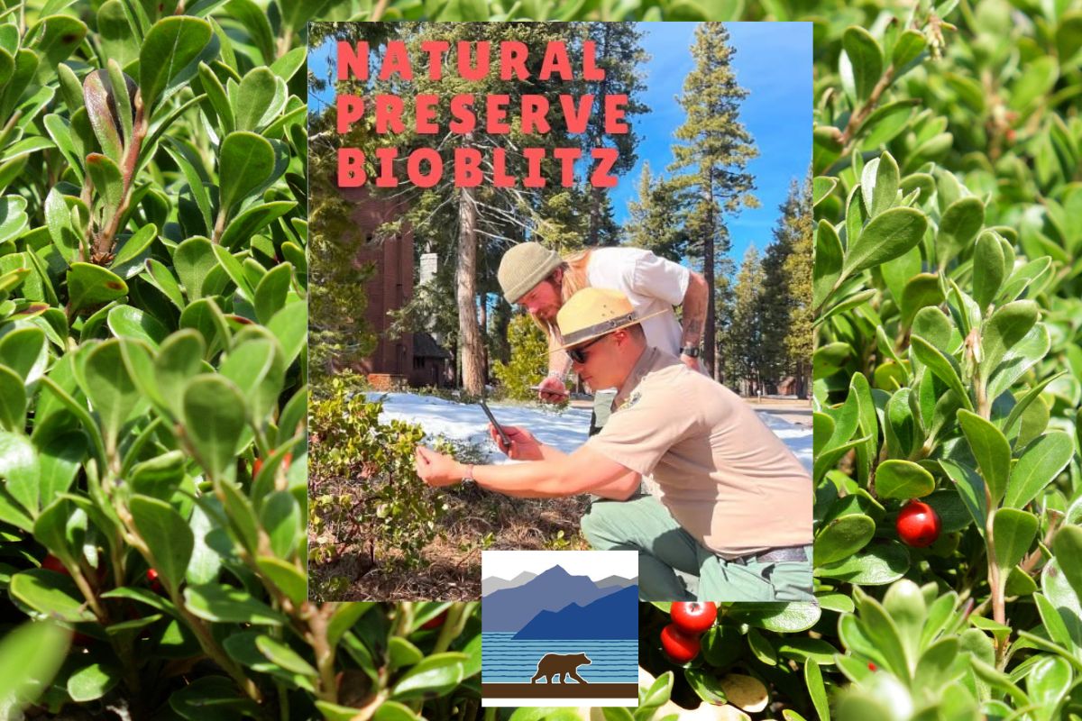 Featured Image for Natural Preserve BioBlitz