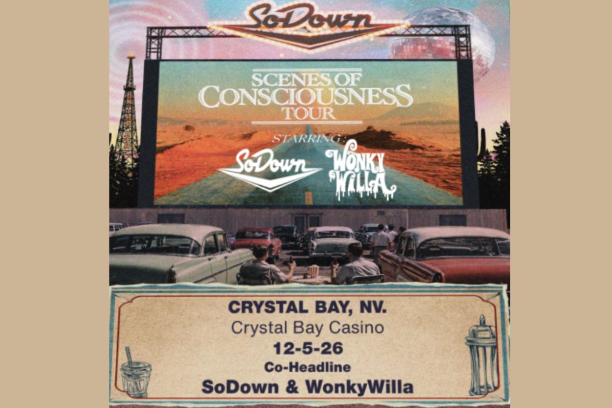 Featured Image for SoDown & WonkyWilla