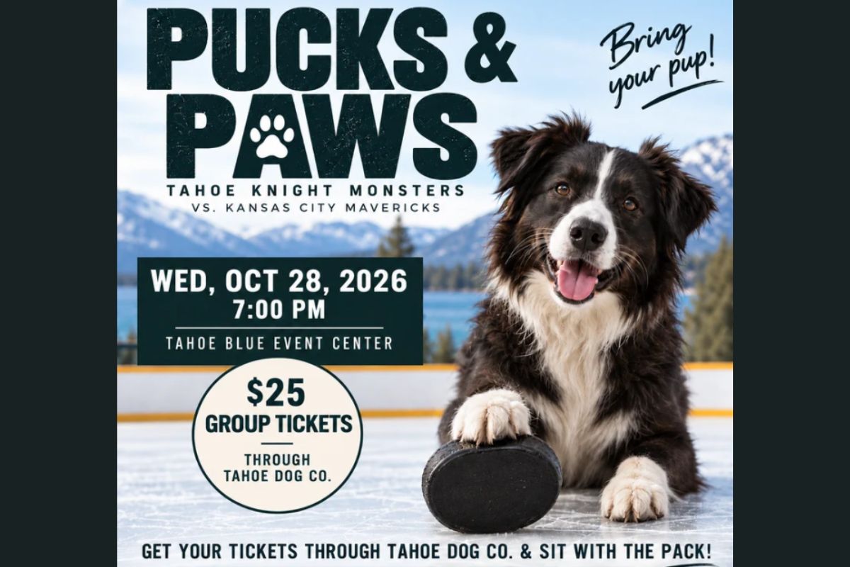 Featured Image for Pucks & Paws (with Tahoe Knight Monsters)