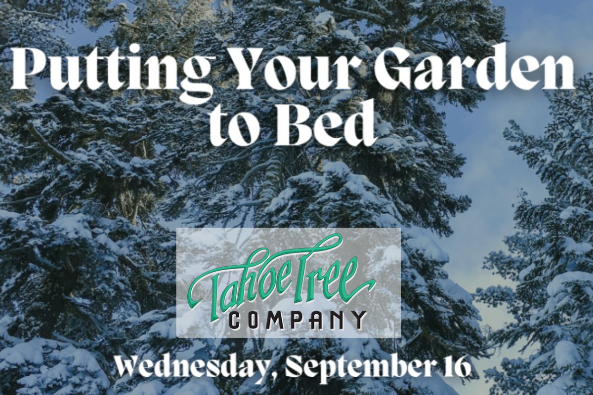 Featured Image for Putting Your Garden to Bed for Winter